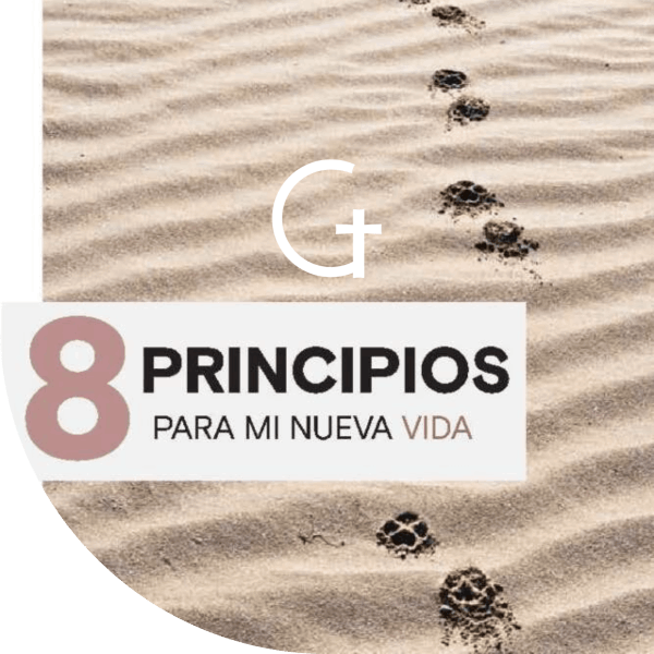 8 principios para mi nueva vida